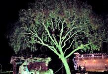 IBC BAGÉ APRESENTA CONCERTO NATALINO DRIVE IN