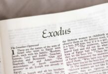 O chamado de Deus a Moisés e a lição sobre como encarar e superar o passado